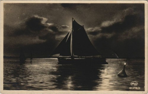 Cpa sailboat night - cpa,